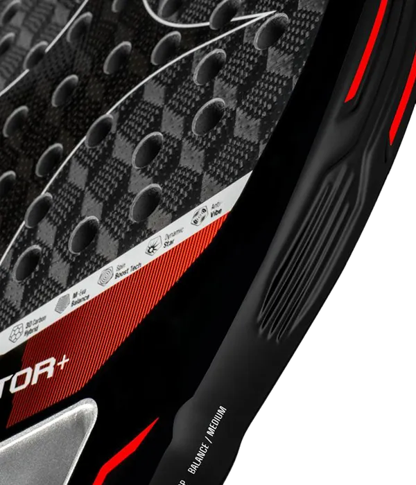 Pala StarVie Raptor+ 2026