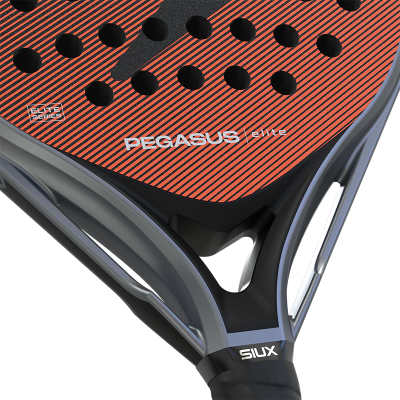 Pala Siux Pegasus Elite 4 2026